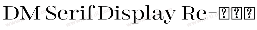 DM Serif Display Re字体转换
